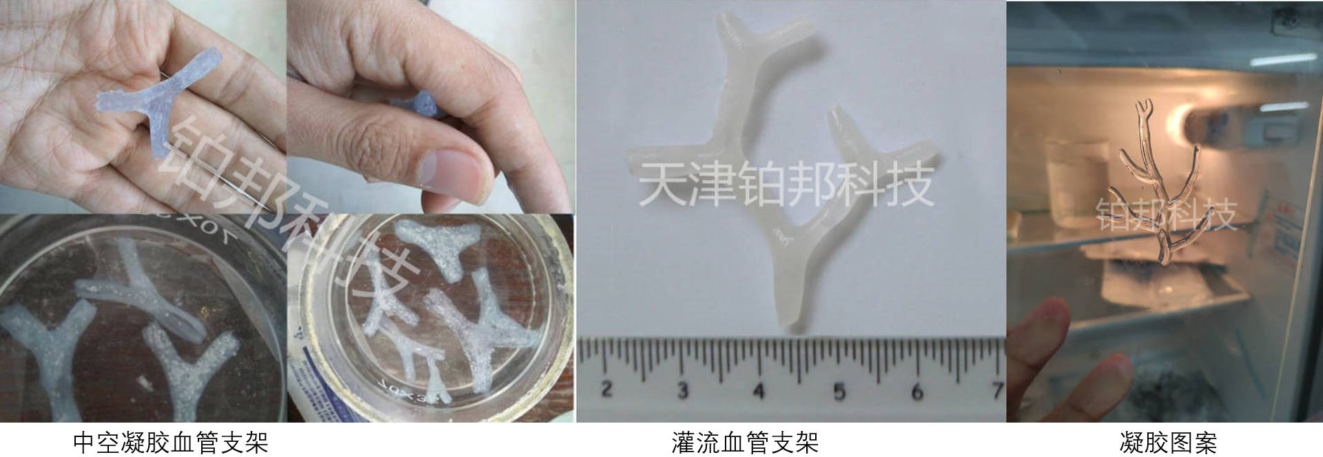 DIW打印样品2
