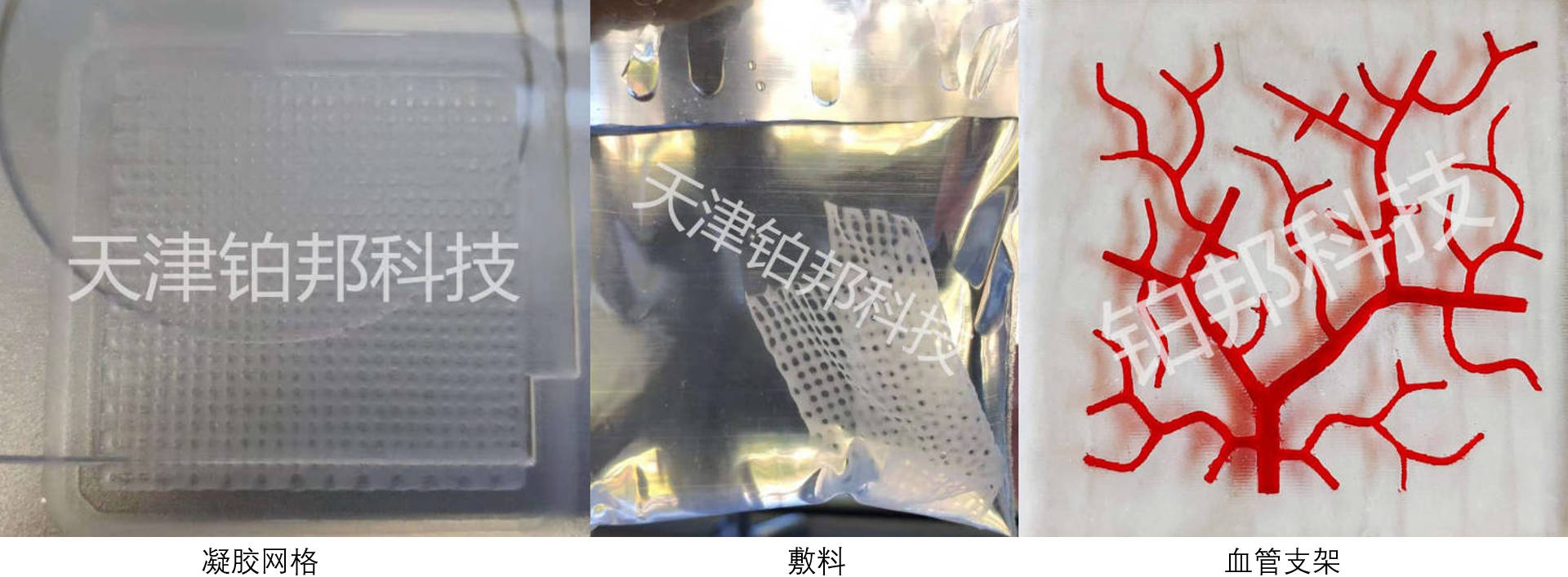 DIW打印样品3