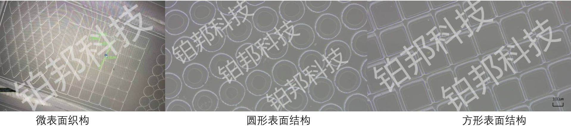DLP打印样品1
