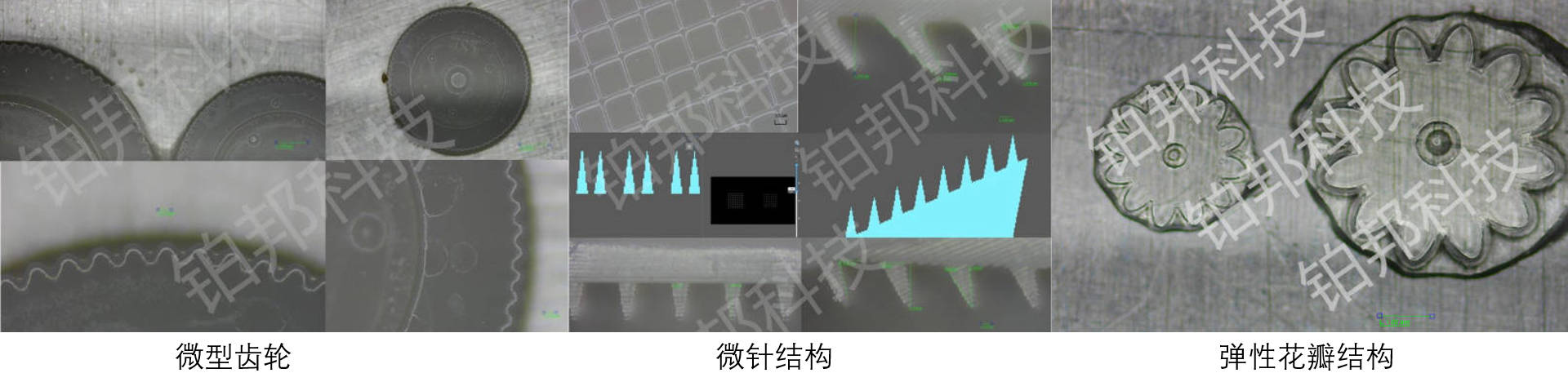 DLP打印样品2