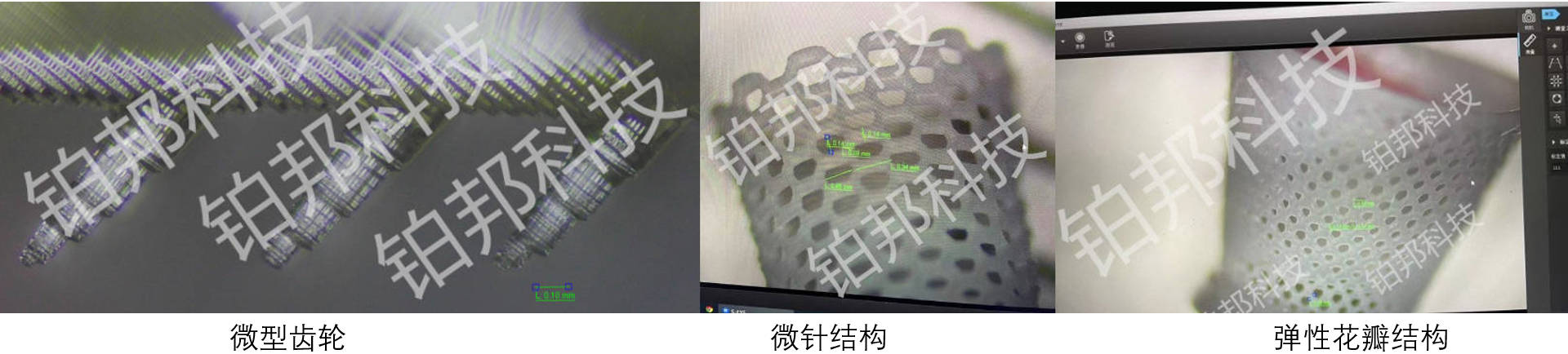 DLP打印样品3
